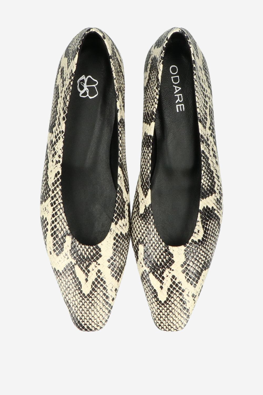 ODARE BILBAO SNAKE